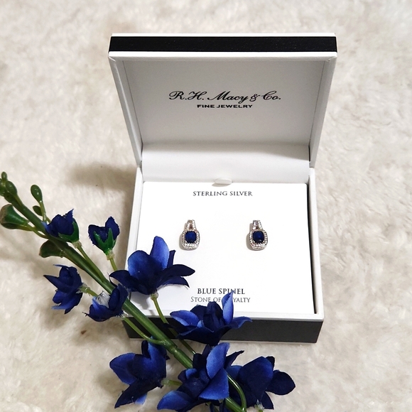 Blue Spinal Sterling Silver Earrings - Picture 3 of 7